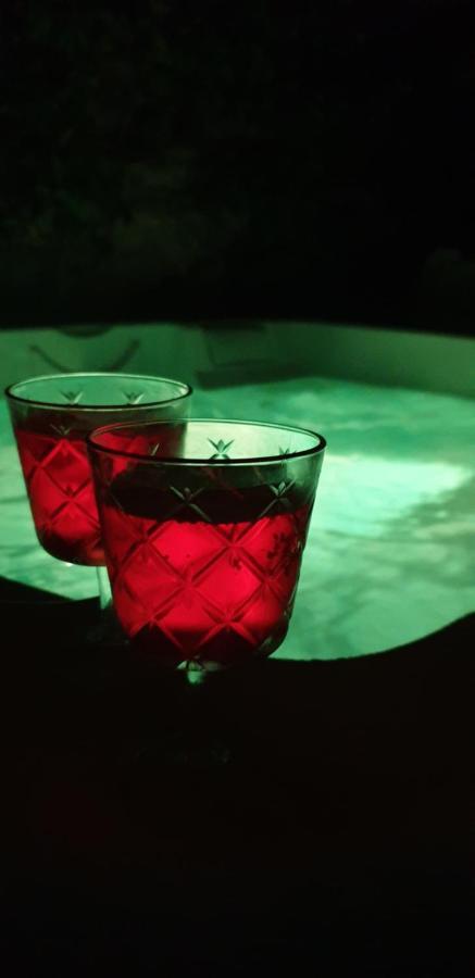 Maison De Maitre A Bram # Jacuzzi Exteriér fotografie