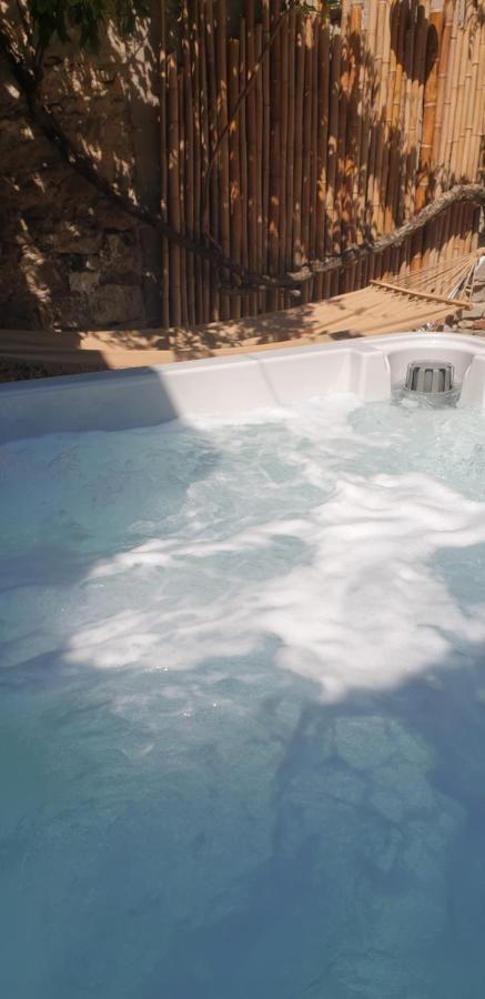 Vila Maison De Maitre A Bram # Jacuzzi Exteriér fotografie