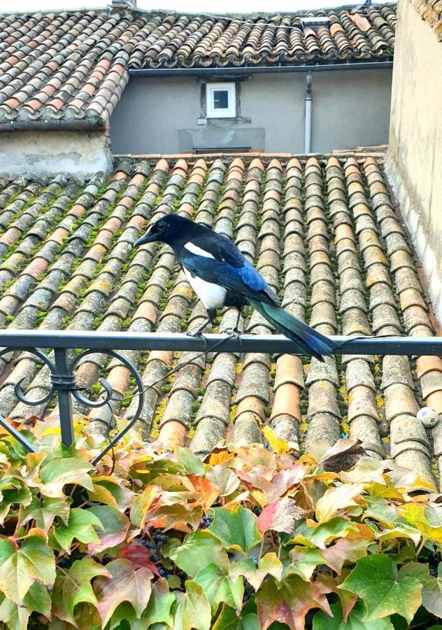 Maison De Maitre A Bram # Jacuzzi Exteriér fotografie
