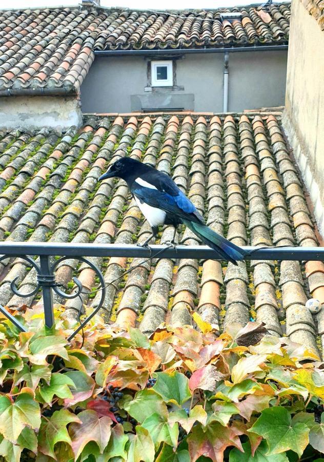 Vila Maison De Maitre A Bram # Jacuzzi Exteriér fotografie